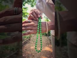GRWM in KARNATAKA JUNGLE