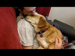 When a Dog Proves Why They Deserve the Title ‘Best Friend’ 🐶❤️