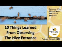Everything You Can Learn About Your Bees Without Lifting The Lid