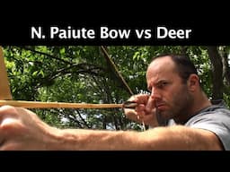 Penetration Test: Paiute Bow vs. Deer
