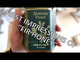 "Fir Honey" Tasting