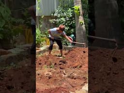 ഉമ്മിച്ചിക്കൊരു അടുക്കളത്തോട്ടം 💚 Kitchen Garden Making 💚