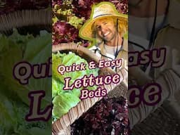 🥬 Grow Lettuce Quick & Easy! #gardening