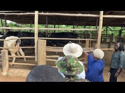 Museveni Tours Maiga's Farm