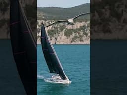 'This is how to do a boatshow stand' #solaris #luxuryyachts #luxurylifestyle #sailingboat #boattour