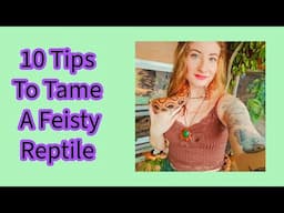 10 Ways To Tame A Feisty Reptile!