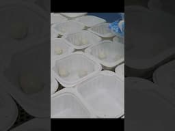 한번보면 빠져드는?! 옹심이 단팥죽 대량생산 과정 #Shorts