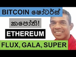 BITCOIN ෂෝටර්ස් කපෝති!!! | ETH, FLUX, GALA, ADA, AND SUPER