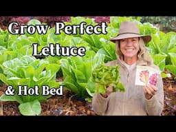 Spring Lettuce 101: Mastering Seasonal Planting & Hot Bed Gardening