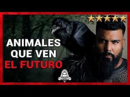 4 Animales Que Predicen El Futuro - El DoQmentalista