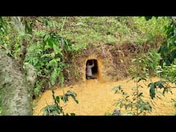 Build a secret underground shelter, safe and comfortable, in the wild forest