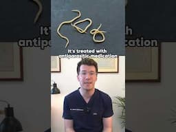 Doctor explains Pinworms (Threadworms) #shorts