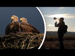 A Weekend of Birdwatching and Wildlife Photography