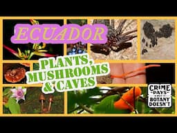 Plants, Mushrooms & Caves of Ecuador