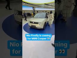 For $25,000, would you buy the NIO Firefly? 🔥🪰