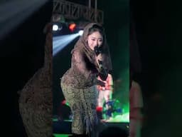 BUKIT BERBUNGA  ~  SILVY KUMALASARI  - X OM HIMAWAN VERSI JADUL #1 on Trending for music