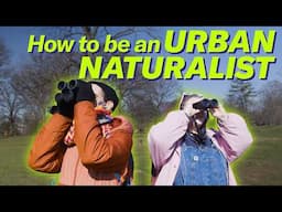 How to find wildlife in any park near you