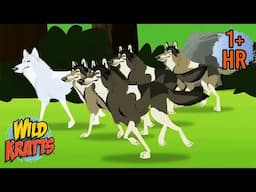 BEST Jungle Safari Adventure! | Amazing Animal Adventures | Wild Kratts | 9 Story Kids