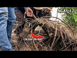 Kết Quả Tốt Nhất Cho 2 Ngày Đi Săn Bắt Rắn | TGSB #1147