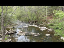 Appalachian Trail 2025 | Day 65 | Another Beautiful Day