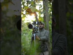 Stunning Wildlife Photography: Capturing Nature’s Beauty with Feelworld F5 Pro X Monitor | 4K Short