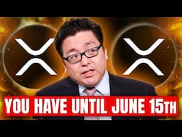 People Have NO IDEA What's About To Hit XRP - Tom Lee