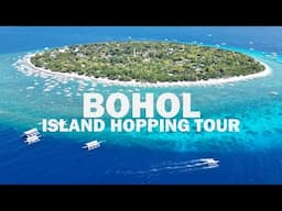 Bohol Island Hopping Tour | Dolphin Watching