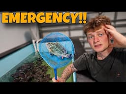 WE HAVE A FISH EMERGENCY!