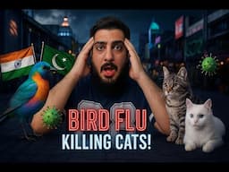 Bird Flu Outbreak in Cats in India Explained | What you NEED to know about Bird Flu!