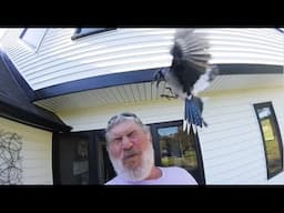 Stolen Valor Phony Navy SEAL of the Week. The VA Phony SEAL Deck Ape Beat You Up and Sue You Phony.