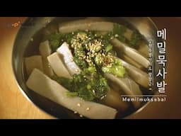 [강원 지역음식 기록] 강원도 평창군 메밀묵사발ㅣ평창군ㅣ메밀요리