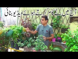 Today I made a video while working | Kitchen Gardening