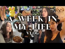 WEEK IN MY LIFE in DC: lots of dates, yoga, grocery hauls, deep cleaning, migraine & anxiety update
