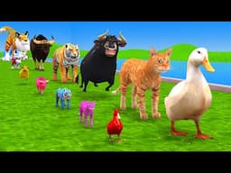 Paint Animals Duck,Tiger,Cow,Lion,Gorilla,Elephant,Dinosaur Fountain Crossing Animal Cartoon Game