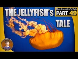 The Jellyfish's Tale