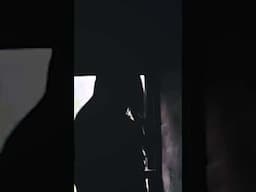 Selçuk Balcı - Yosun Tuttu Yüreğim #shorts