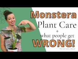 Monstera Plant Care for Beginners (Do This First!)