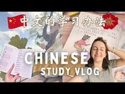 How I Self-Study Mandarin Chinese in 2025 🇨🇳 Study Vlog