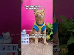 Como cuando la ropa ya no te ENTRA bien pero puedes hacer esto 😹🫵