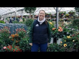 PETITTI | What's in Store Memorial Day 2025
