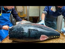 japanese street food - giant bluefin tuna cutting 本マグロ解体