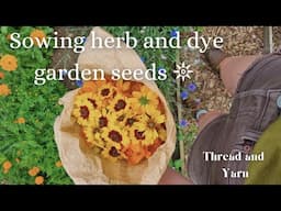 ⚘ Sowing seeds for my herb and natural dye garden ⚘