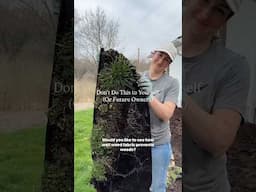 Landscaping Mistakes to Avoid #home #landscaping
