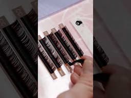 LIVBAY LASHAPPLICATION
