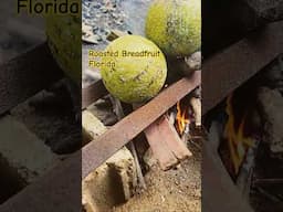 Florida Roasted Breadfruit #chefandredavy #roastbreadfruit
