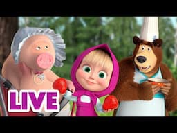 🔴 LIVE 🐻👧 Masha y el Oso ⭐ Los episodios favoritos 🎬 Masha and the Bear