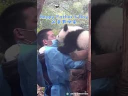The Ultimate Panda Tribute! Happy Father's Day! | iPanda #shorts