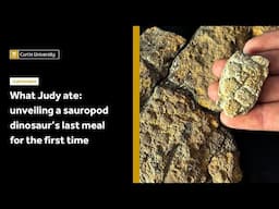 What Judy ate: unveiling a sauropod dinosaur’s last meal for the first time