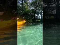 so much fun and we saw manatees #springs #floridasprings #florida