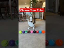 Pick A Ball!! Did you win??
